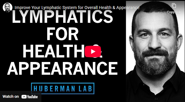 ویدیویی از کانال یوتیوب Andrew Huberman