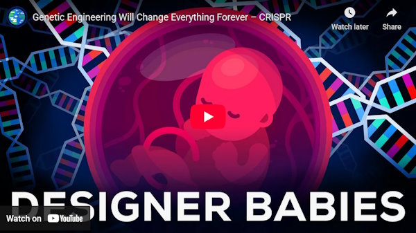 کانال آموزشی