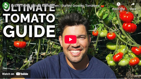 کانال باغبانی