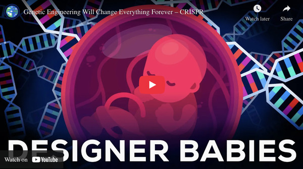 ویدیویی از کانال یوتیوب Kurzgesagt