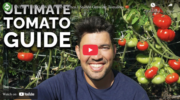 ویدیویی از کانال یوتیوب Epic Gardening