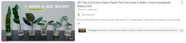 نمونه ویدیوی یوتیوب باغبانی و مراقبت از گیاهان