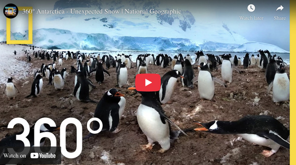 ویدیویی از کانال یوتیوب National Geographic's 360 - چه محتوایی در یوتیوب بیشترین بازدید را دارد
