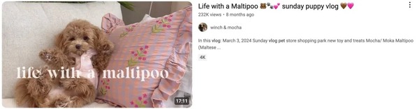 راهنمای نگهداری حیوانات خانگی - ایده های یوتیوب بدون چهره موفق در سال ۲۰۲۵