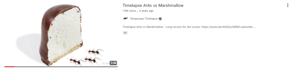 نمونه ویدیو تایم لپس - ایده های یوتیوب بدون چهره موفق در سال ۲۰۲۵