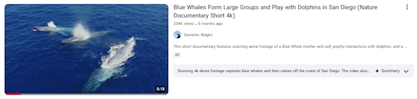 نمونه ویدیوی مربوط به محتوای حیات وحش بدون چهره