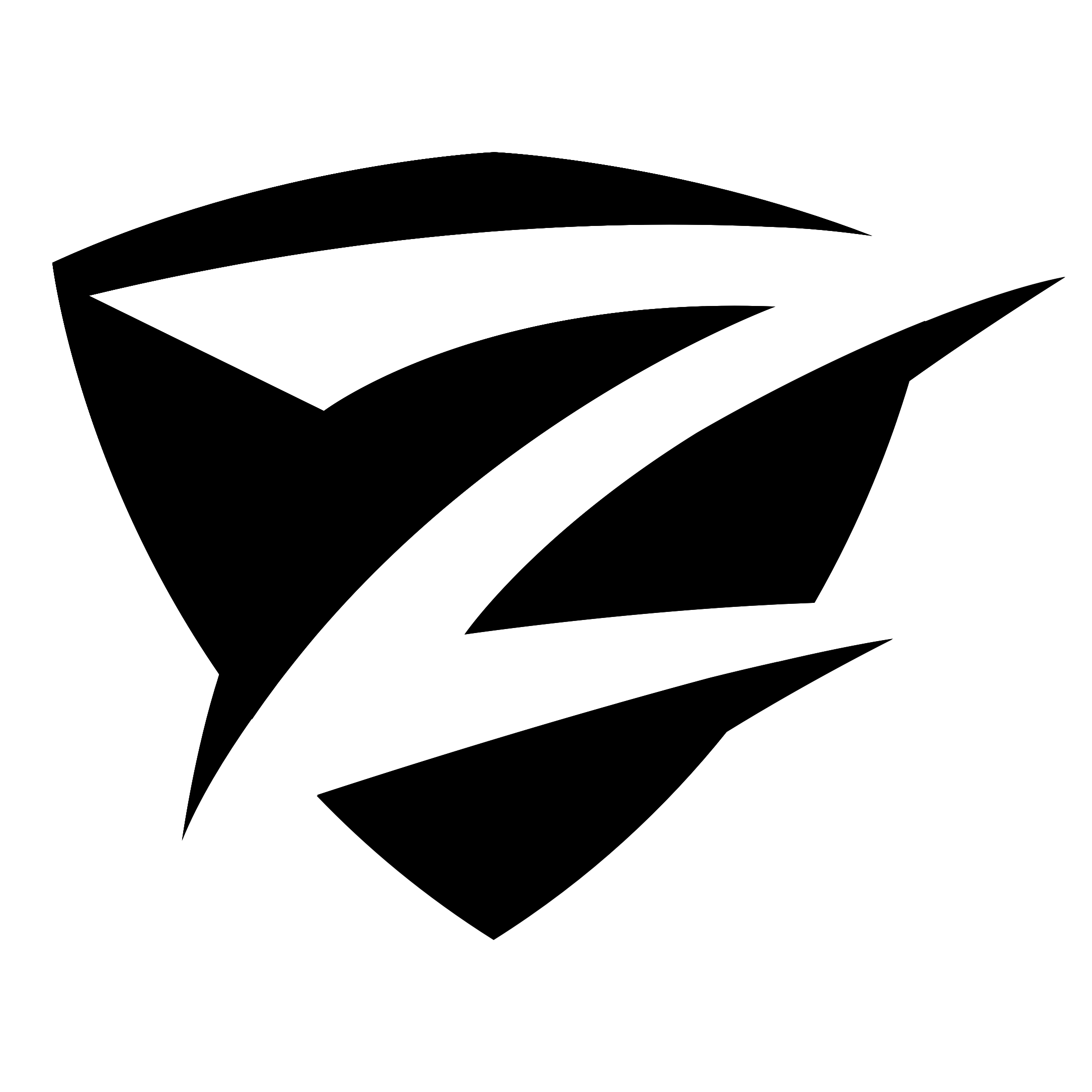 Zig Zag Network